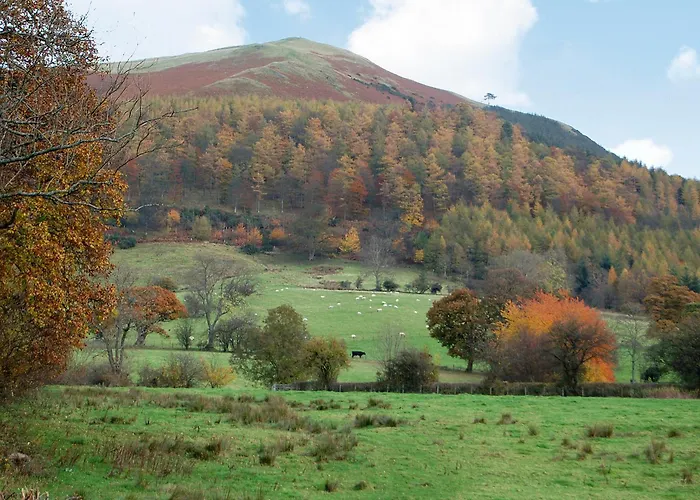 Ewe - Burnside Park 度假居 *